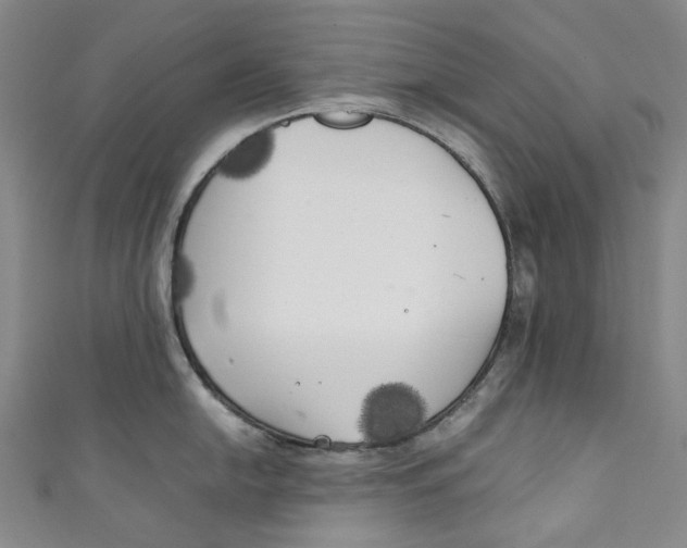 X0000111211054200907221147