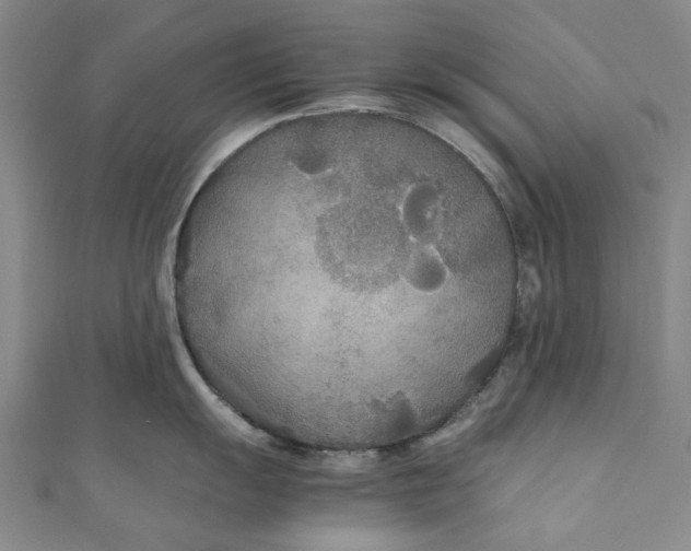 X0000111211055200907221147