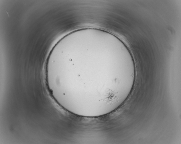 X0000111211056200907221147