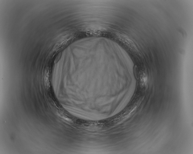 X0000111211060200907221146