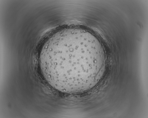 X0000111211063200907221146