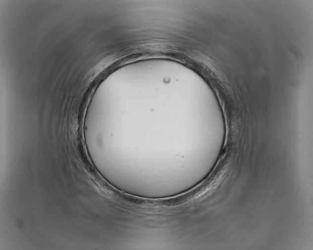 X0000111211065200907221146