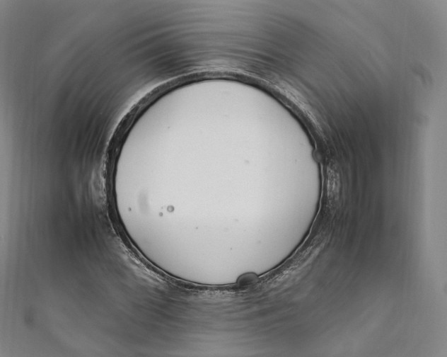 X0000111211068200907221146