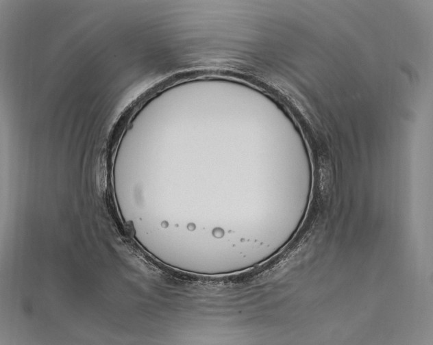 X0000111211069200907221146