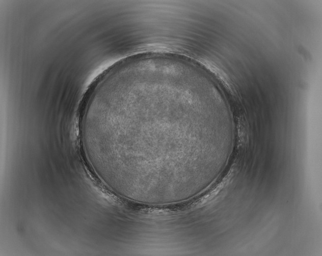 X0000111211070200907221146