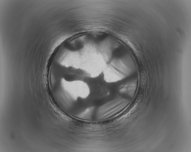 X0000111211071200907221146