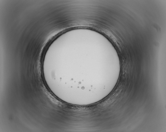 X0000111211072200907221146