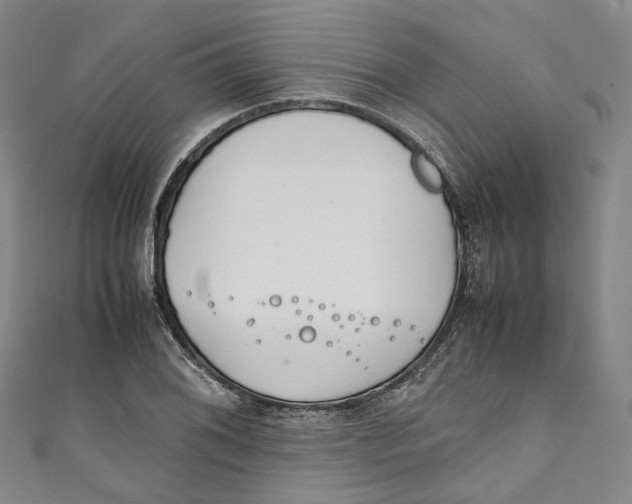 X0000111211076200907221146