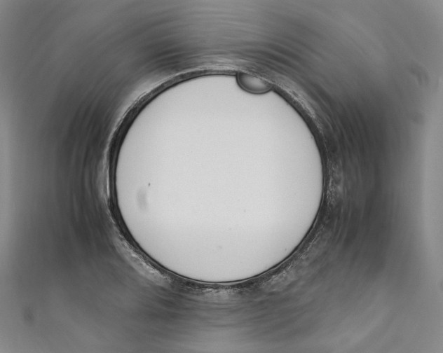 X0000111211080200907221146