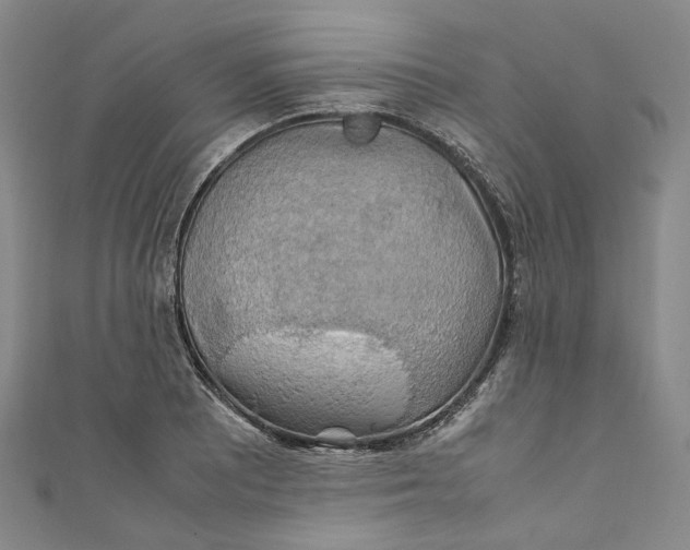 X0000111211081200907221146