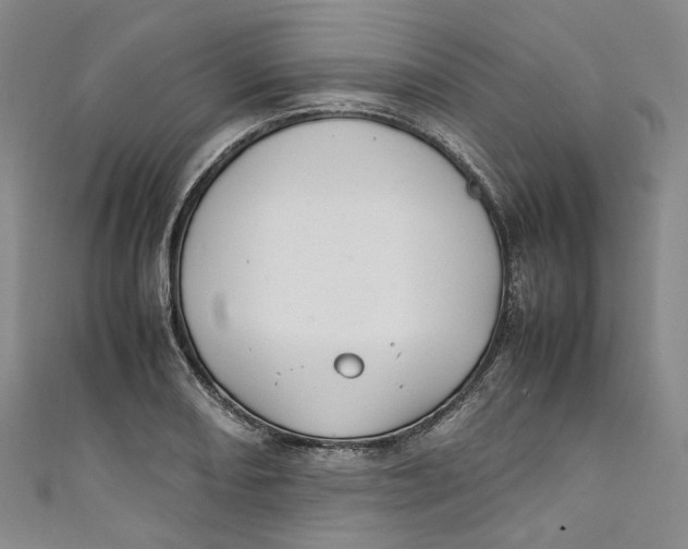 X0000111211082200907221146