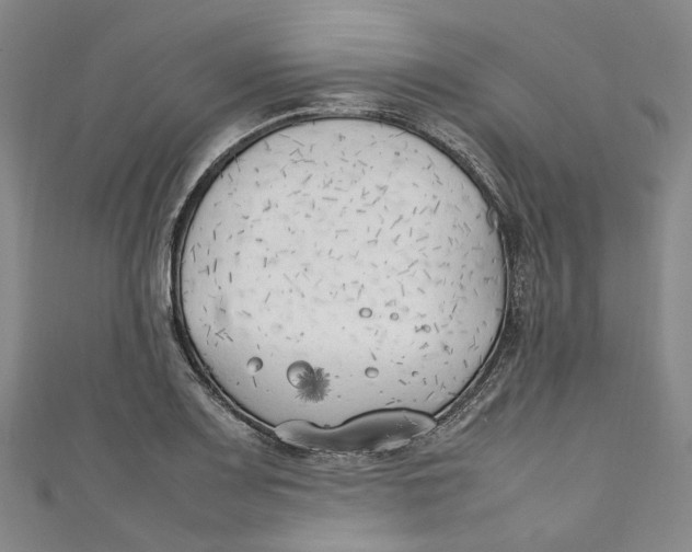 X0000111211083200907221146