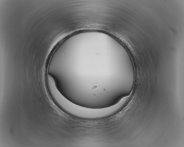 X0000111211085200907221146