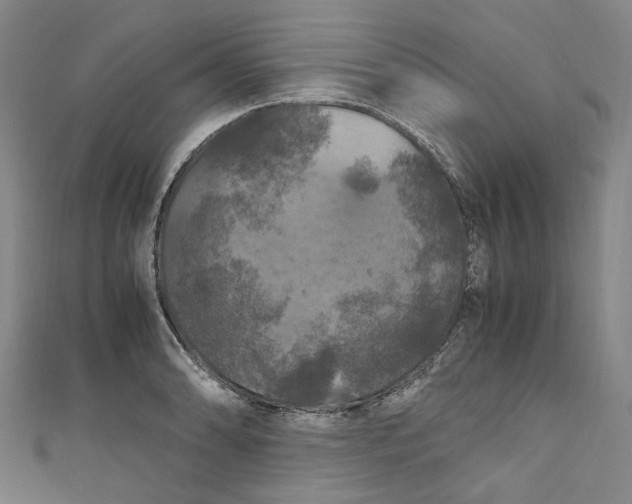 X0000111211086200907221146