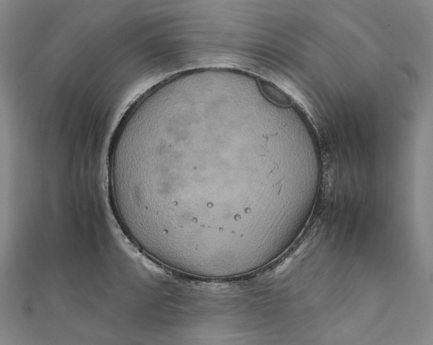 X0000111211088200907221146