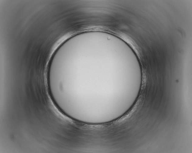 X0000111211090200907221146