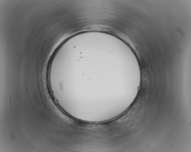 X0000111211091200907221146