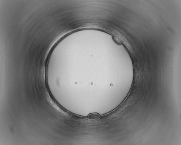 X0000111211092200907221146