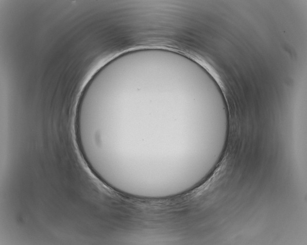 X0000111211093200907221146