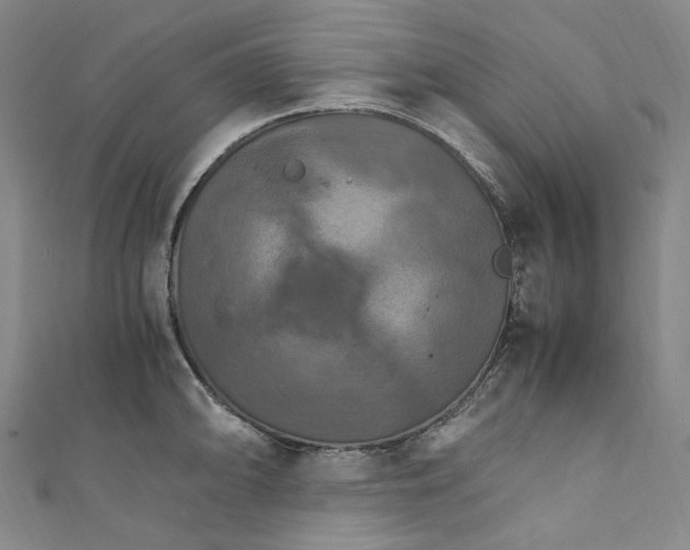 X0000111211094200907221146