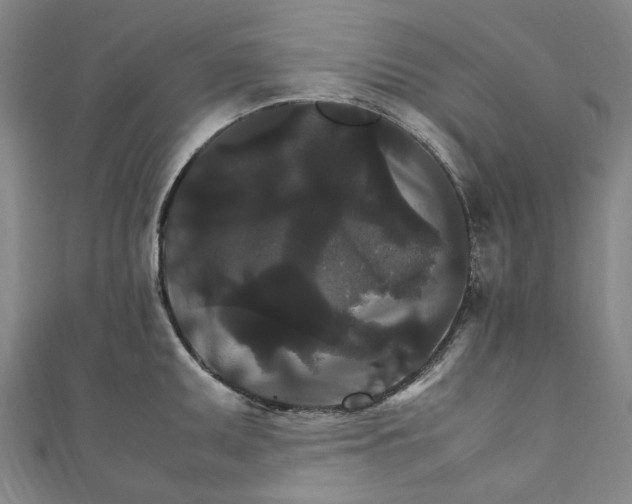 X0000111211095200907221146