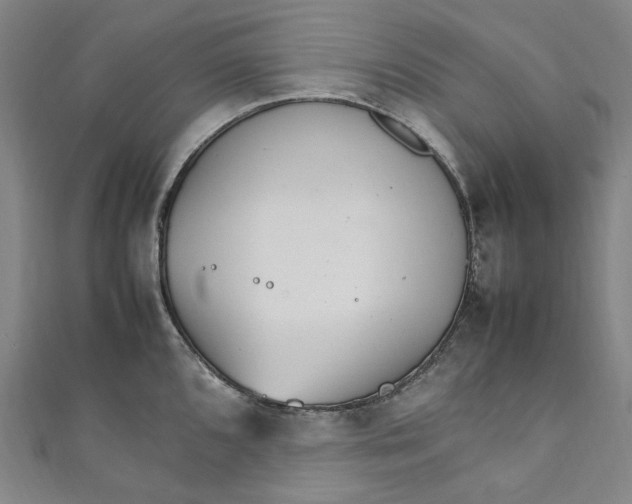 X0000111211096200907221146