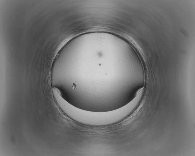 X0000111211097200907221146