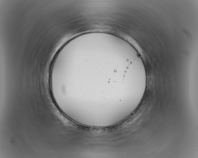 X0000111211099200907221146