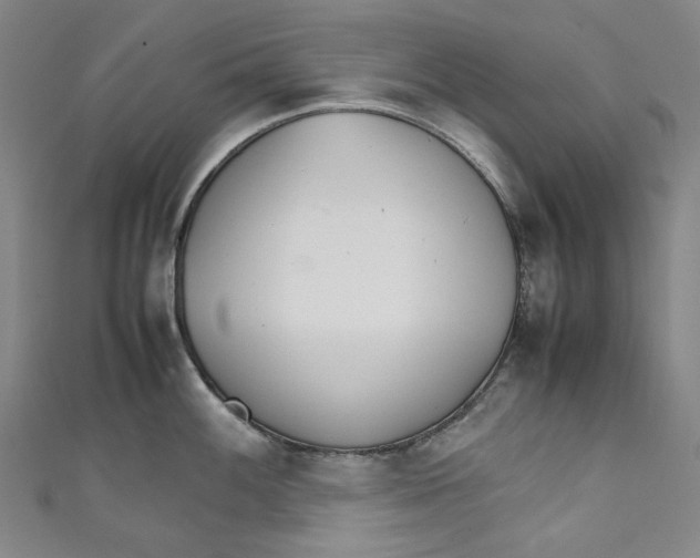 X0000111211100200907221146