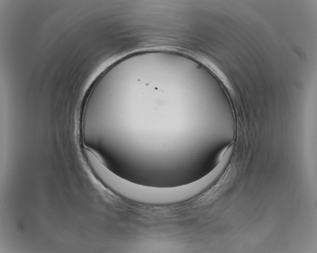 X0000111211101200907221146