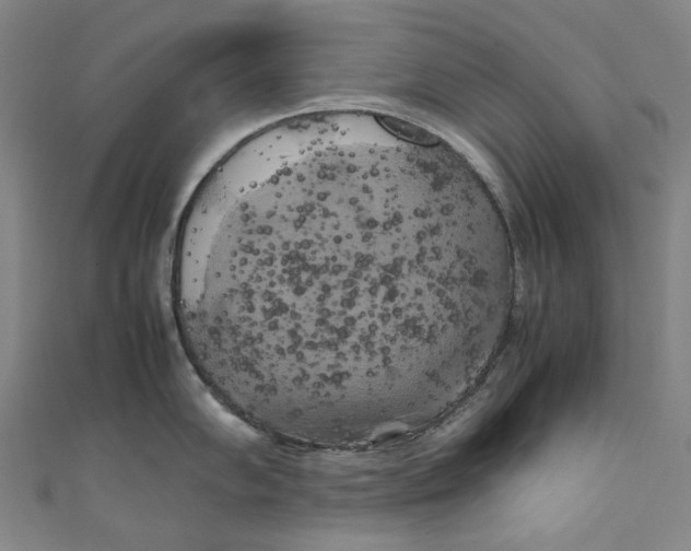 X0000111211102200907221145