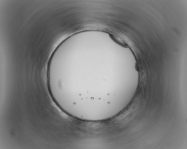 X0000111211103200907221145