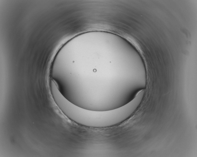 X0000111211104200907221145