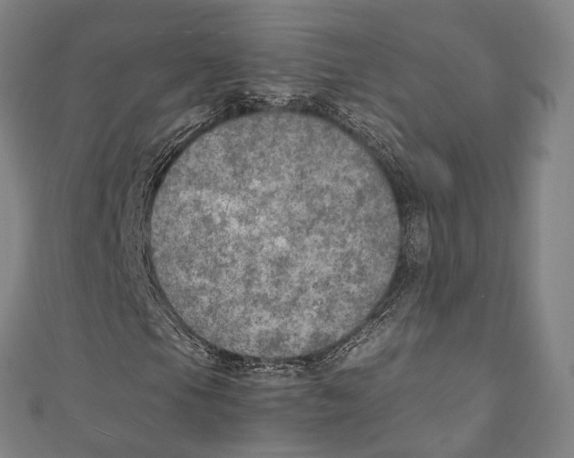 X0000111211105200907221145