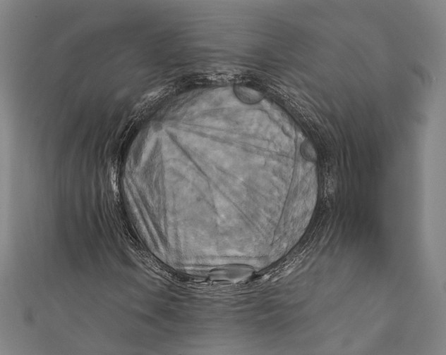 X0000111211106200907221145