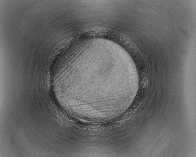 X0000111211108200907221145