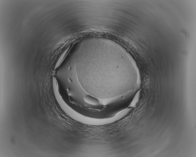 X0000111211110200907221145