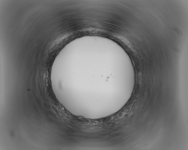 X0000111211111200907221145