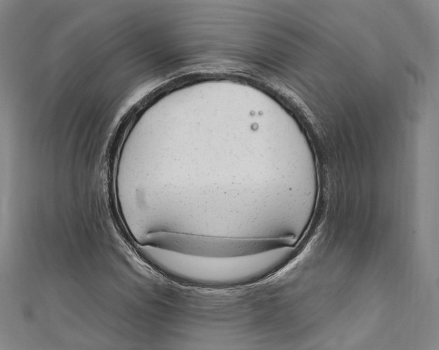 X0000111211114200907221145