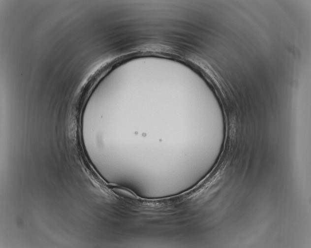 X0000111211115200907221145