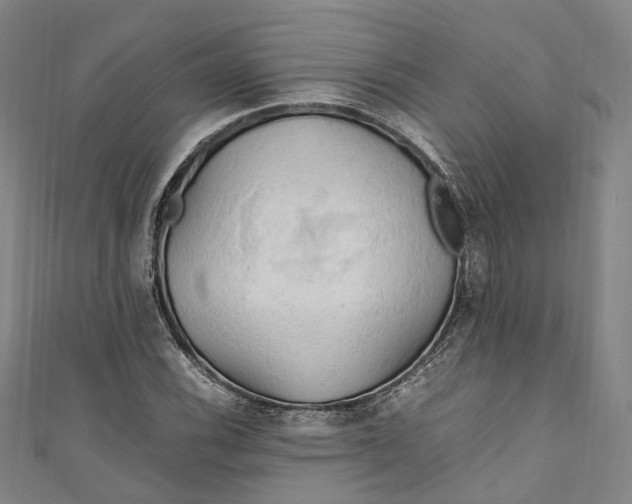 X0000111211116200907221145