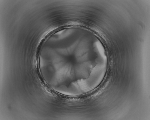 X0000111211117200907221145