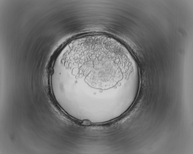 X0000111211118200907221145