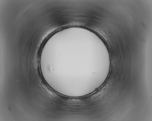 X0000111211119200907221145