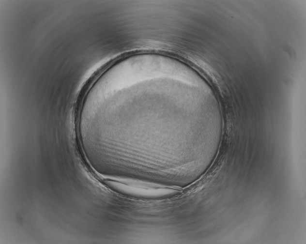 X0000111211120200907221145