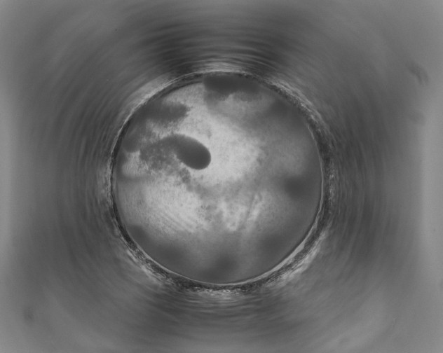 X0000111211121200907221145