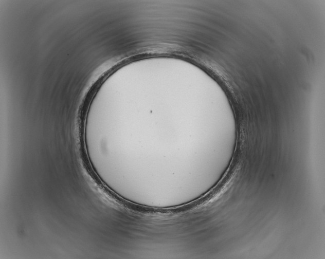 X0000111211122200907221145