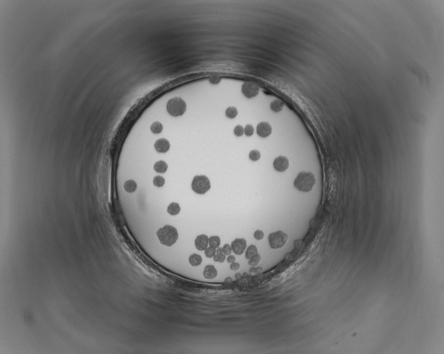 X0000111211123200907221145