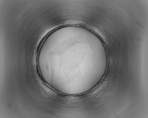 X0000111211124200907221145