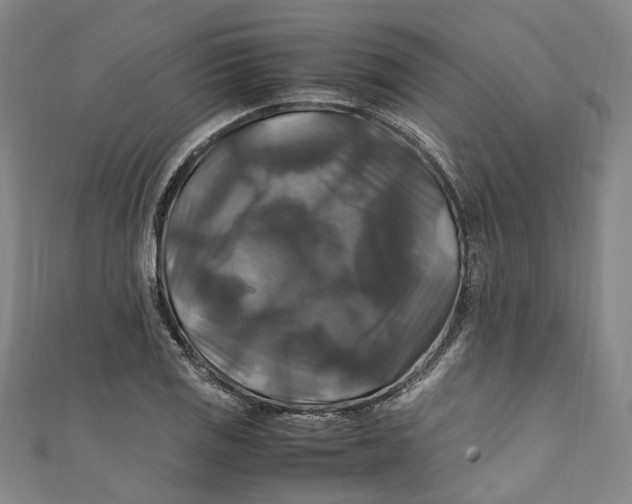 X0000111211125200907221145